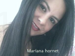 Mariana_hornet