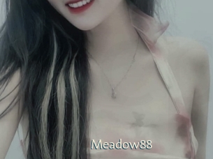 meadow88 1 grosse chatte poilue