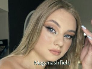 Meganashfield