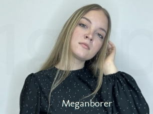 Meganborer