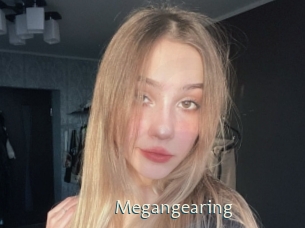 Megangearing