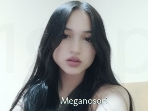Meganosori