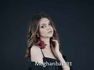 Meghanbarritt