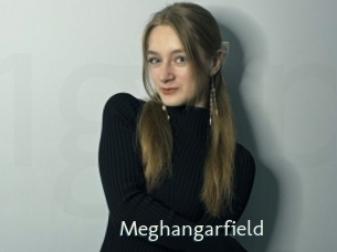 Meghangarfield