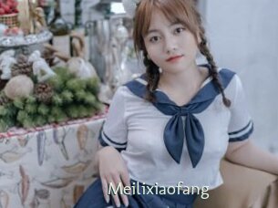meilixiaofang 1 grosse chatte poilue