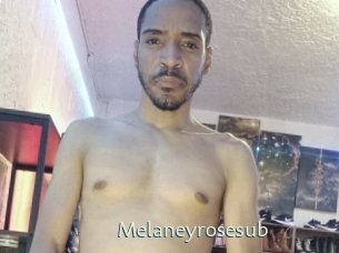 Melaneyrosesub