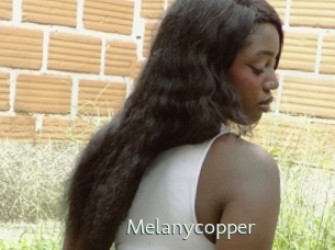 melanycopper 1 grosse chatte poilue