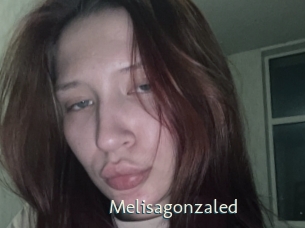 Melisagonzaled