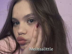 melissalittle 1 grosse chatte poilue