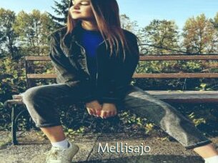 Mellisajo