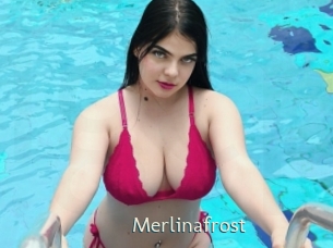 Merlinafrost