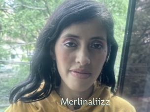 Merlinaliizz