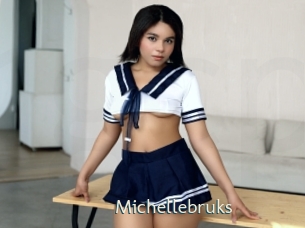 michellebruks 1 grosse chatte poilue