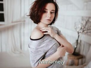 Miniamely