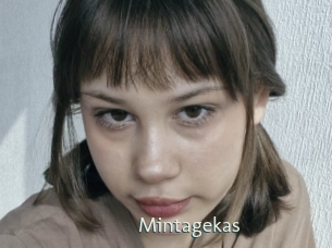 mintagekas 1 grosse chatte poilue