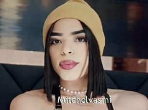 Mitchelvasini