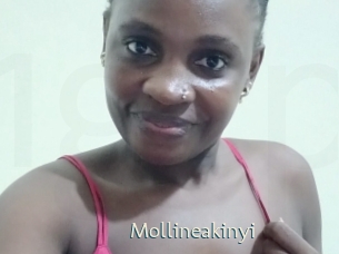 Mollineakinyi