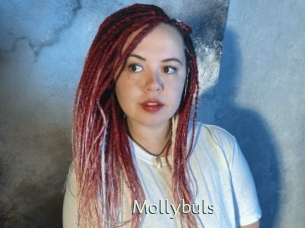 Mollybuls