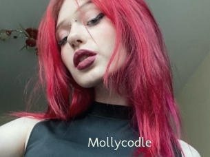 Mollycodle