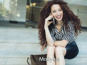 Mollykat