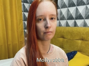Mollyrabbit
