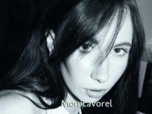 Monicavorel