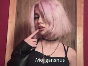 Morgansnus