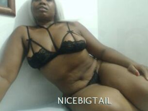 NICEBIGTAIL