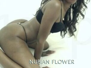 NUBIAN_FLOWER