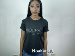NoaKane18