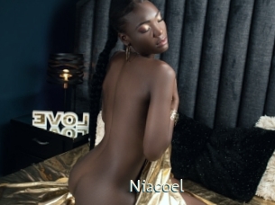 niacoel 1 grosse chatte poilue
