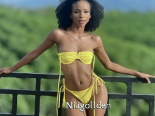 niagollden 1 grosse chatte poilue