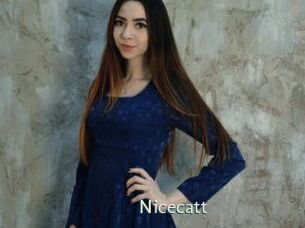 Nicecatt