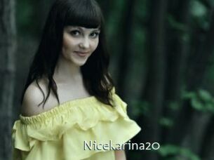 Nicekarina20