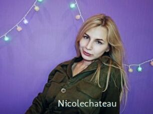 nicolechateau 1 grosse chatte poilue