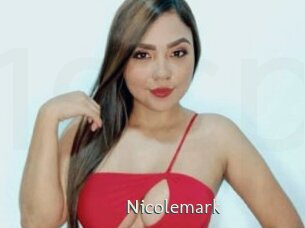 nicolemark 1 grosse chatte poilue
