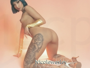 nicolewesley 1 grosse chatte poilue