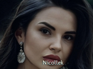 nicollek 1 grosse chatte poilue