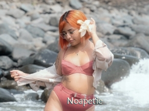 noapetie 1 grosse chatte poilue
