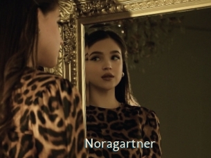 Noragartner