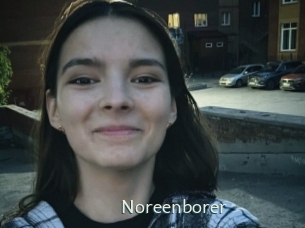 Noreenborer