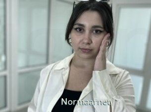 Normaarnet