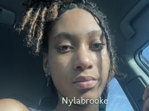 nylabrooke 1 grosse chatte poilue