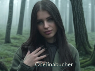 Odelinabucher