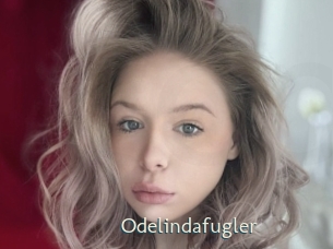 Odelindafugler