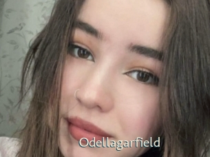 Odellagarfield