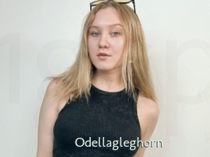 Odellagleghorn