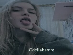 Odellahamm