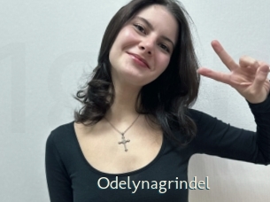 Odelynagrindel