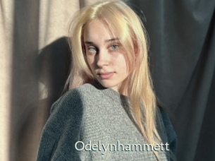 Odelynhammett